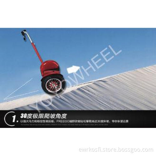 Stand Up 2 wheel electric standing scooter , Motorised char